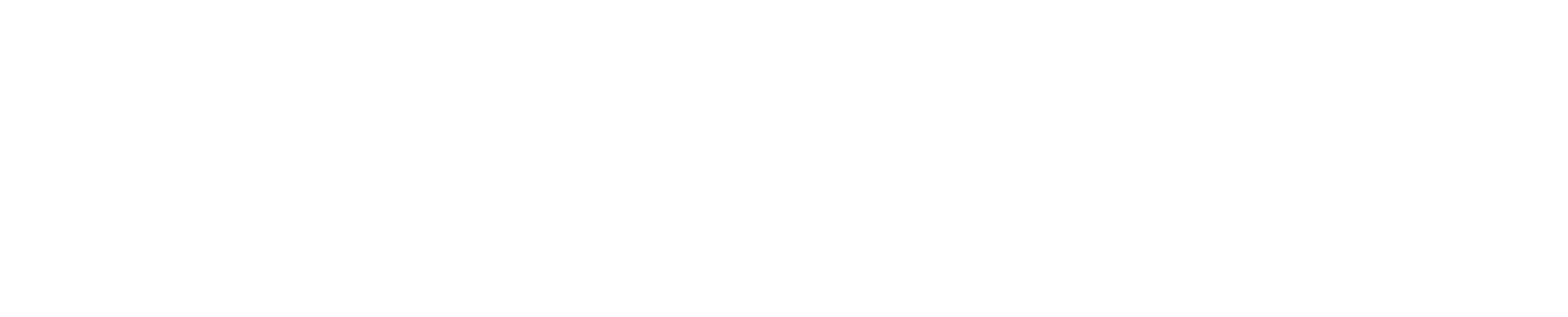 Craftsman Painter Wordmark